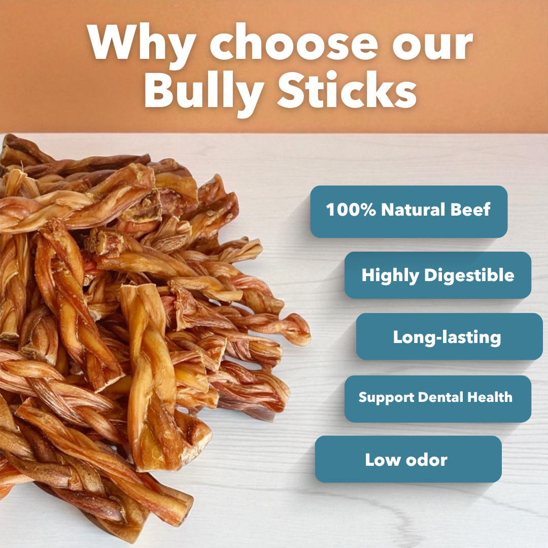 6" dicke geflochtene Bully Sticks