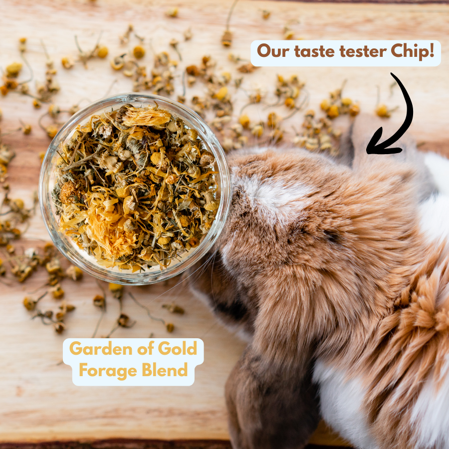 3-Pack Bunny Forage Mix Treat Variety Pack