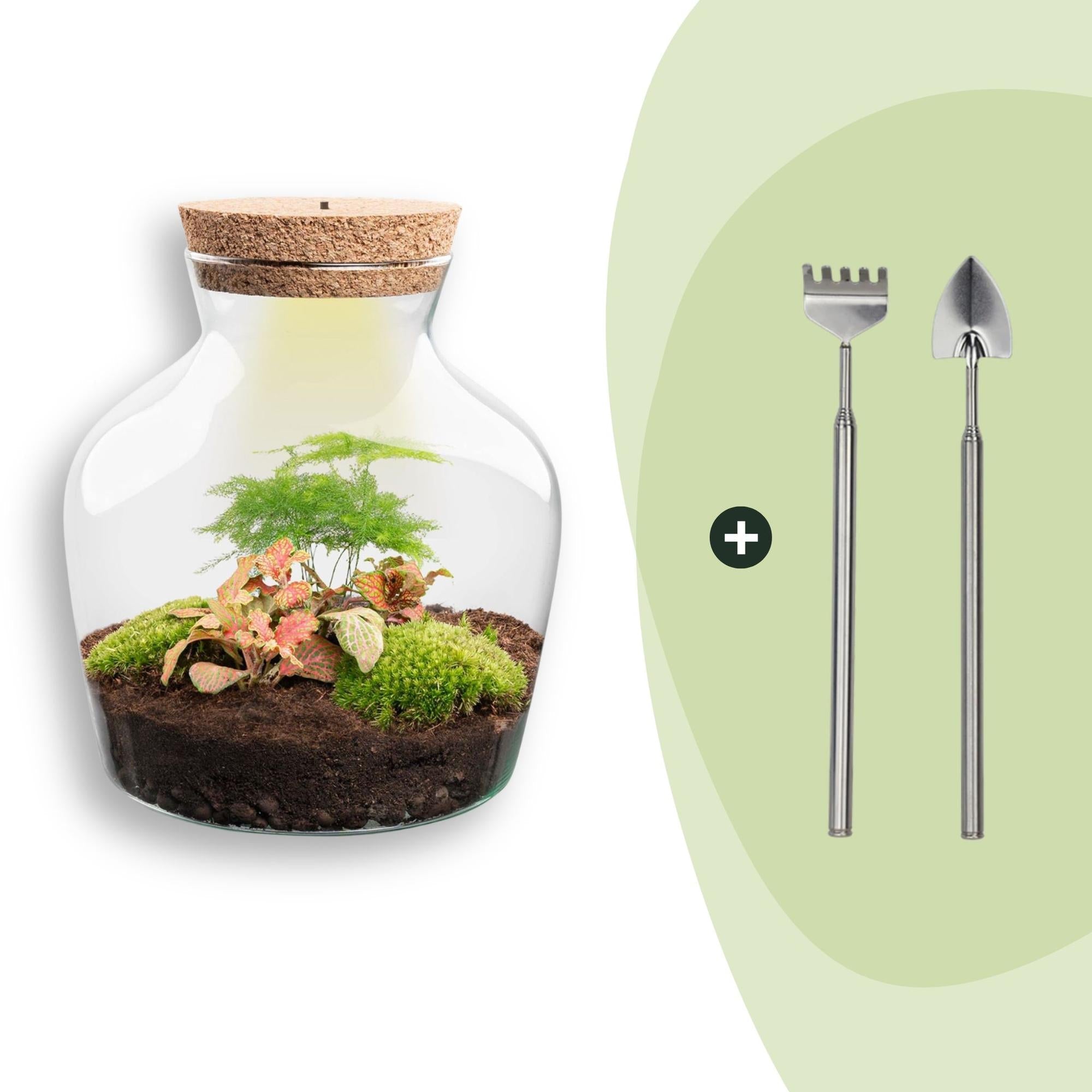 Flaschengarten Little Joe – DIY Bausatz Terrarium – ↕21,5cm – Do It Yourself Pflanzen – Set im Glas – Autarkes Mini – Ökosystem