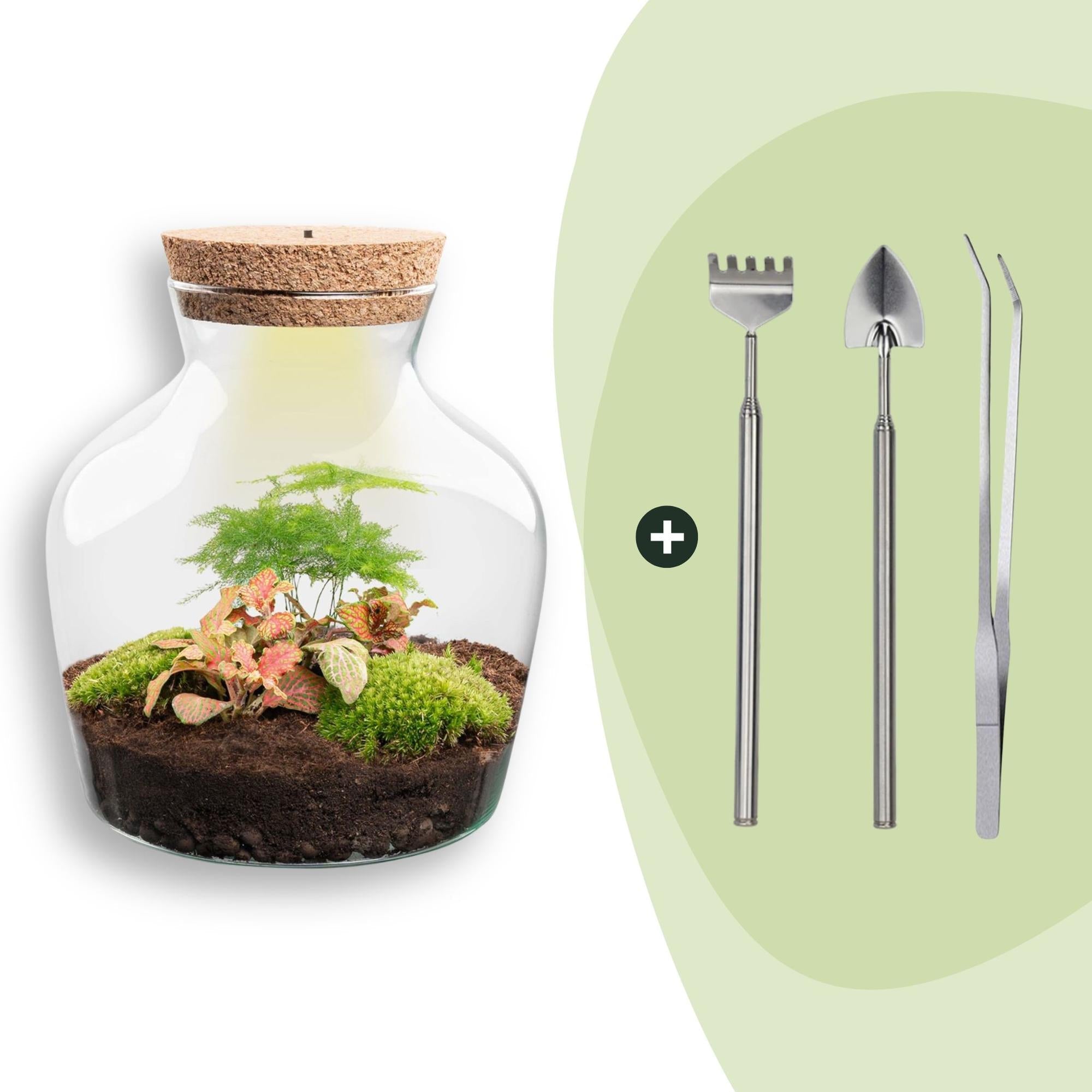 Flaschengarten Little Joe – DIY Bausatz Terrarium – ↕21,5cm – Do It Yourself Pflanzen – Set im Glas – Autarkes Mini – Ökosystem