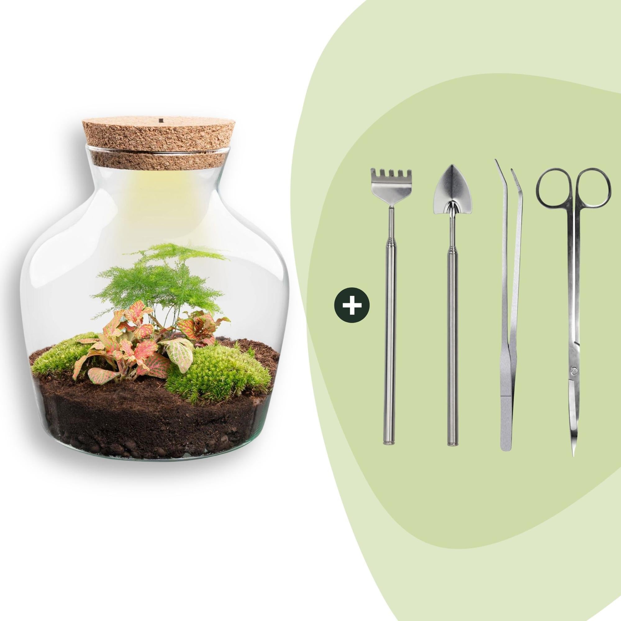 Flaschengarten Little Joe – DIY Bausatz Terrarium – ↕21,5cm – Do It Yourself Pflanzen – Set im Glas – Autarkes Mini – Ökosystem
