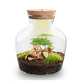 Flaschengarten Little Joe – DIY Bausatz Terrarium – ↕21,5cm – Do It Yourself Pflanzen – Set im Glas – Autarkes Mini – Ökosystem
