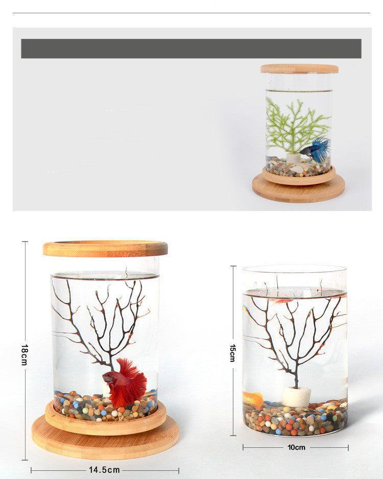 Bamboo Base Mini Glass Aquarium: A Stylish And Compact Fish Tank Decoration