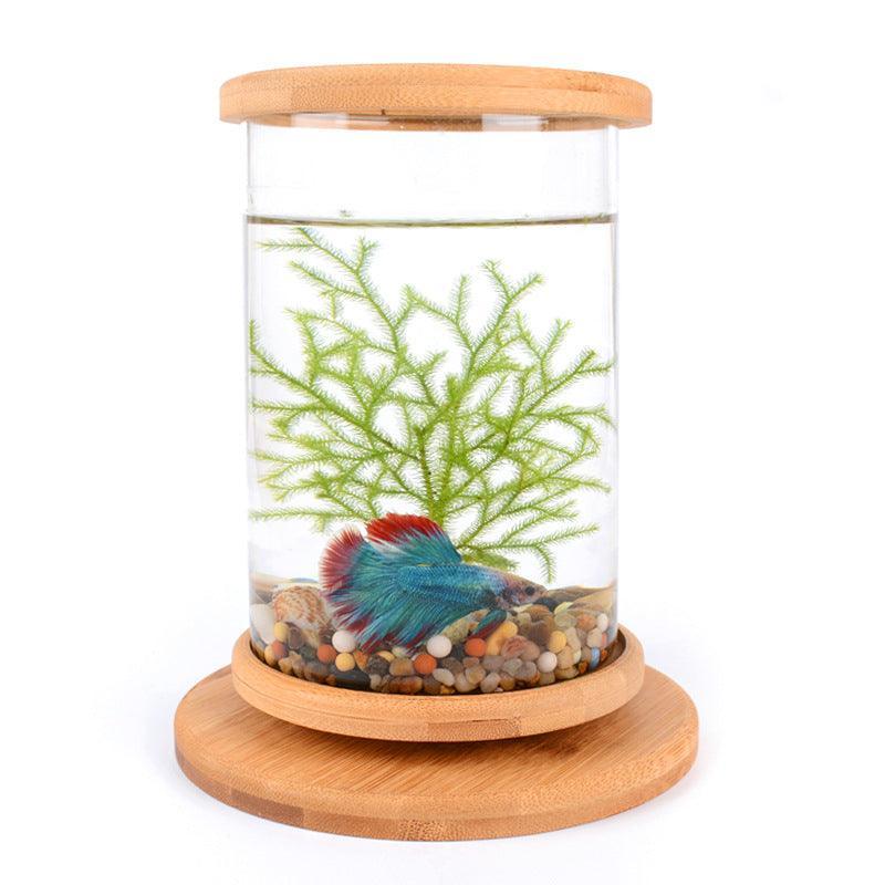 Bamboo Base Mini Glass Aquarium: A Stylish And Compact Fish Tank Decoration