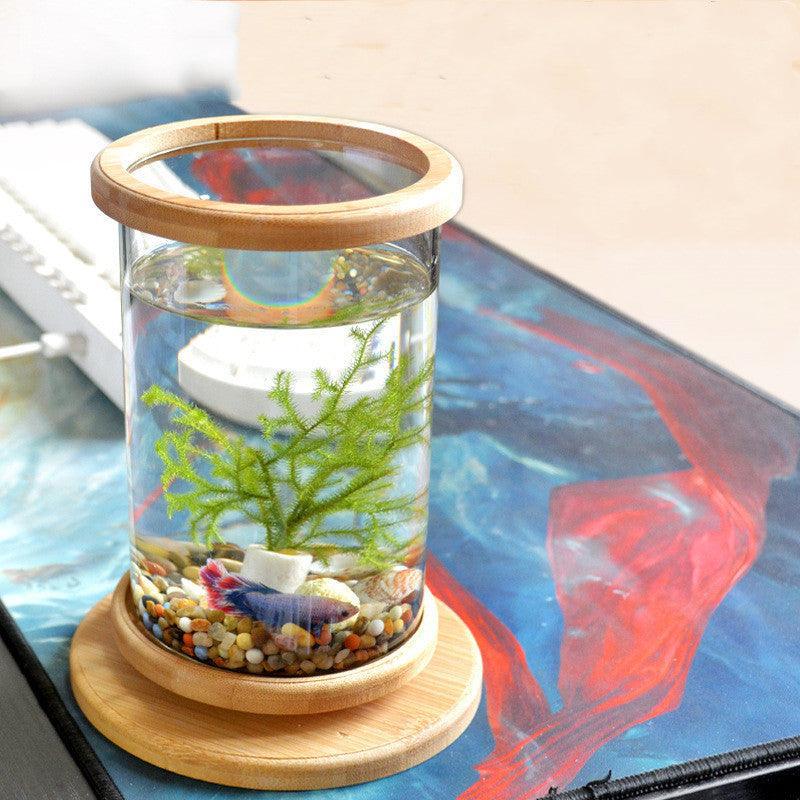 Bamboo Base Mini Glass Aquarium: A Stylish And Compact Fish Tank Decoration