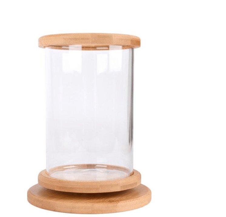Bamboo Base Mini Glass Aquarium: A Stylish And Compact Fish Tank Decoration