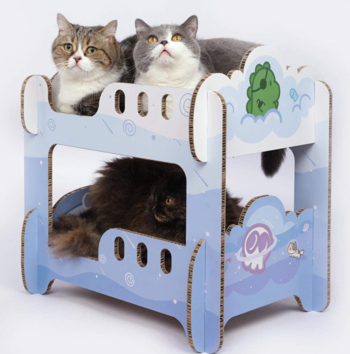 Boys' Dormitory Blue Cat Scratching Board