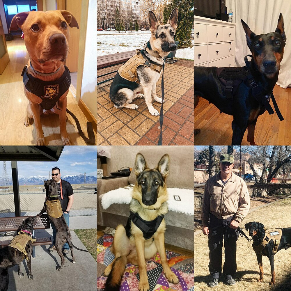 Tactical Dog Harness