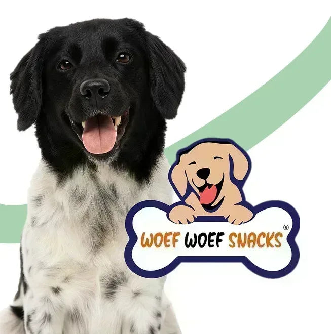 Woef Woef Snack Box (L)