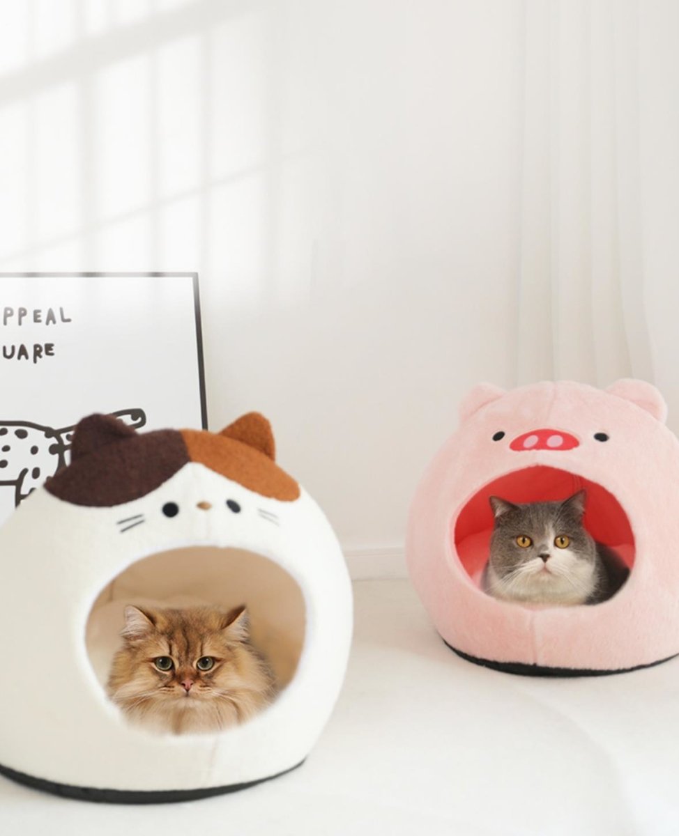 Animal Bus Green Cat Scratching Board