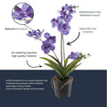 Orchidee Vanda Kunstpflanze – ca.60cm – Violett – Künstliche Orchidee im Topf – Pflegefreie Dekopflanze für Wohnzimmer Büro & Empfang-4