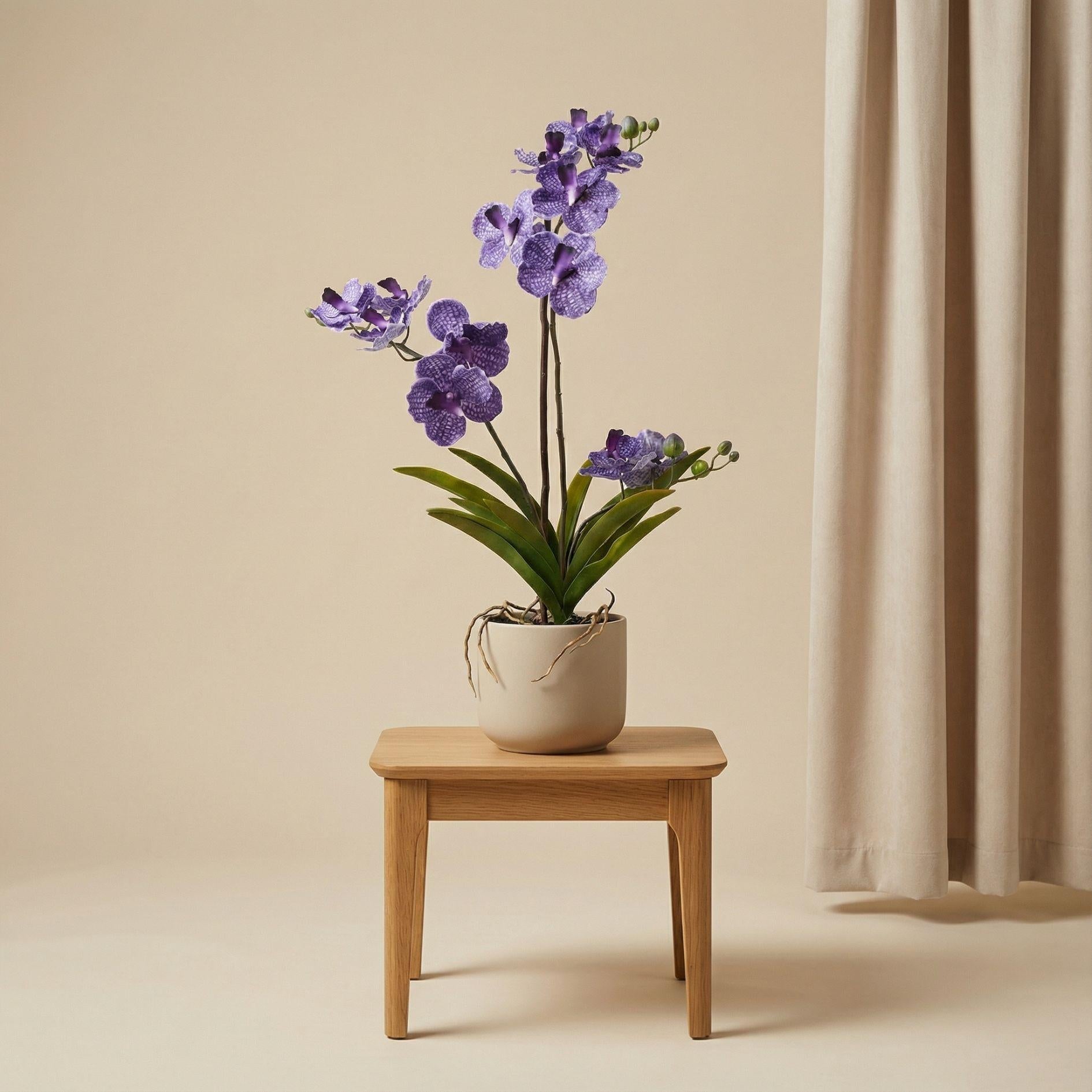 Orchidee Vanda Kunstpflanze – ca.60cm – Violett – Künstliche Orchidee im Topf – Pflegefreie Dekopflanze für Wohnzimmer Büro & Empfang-3