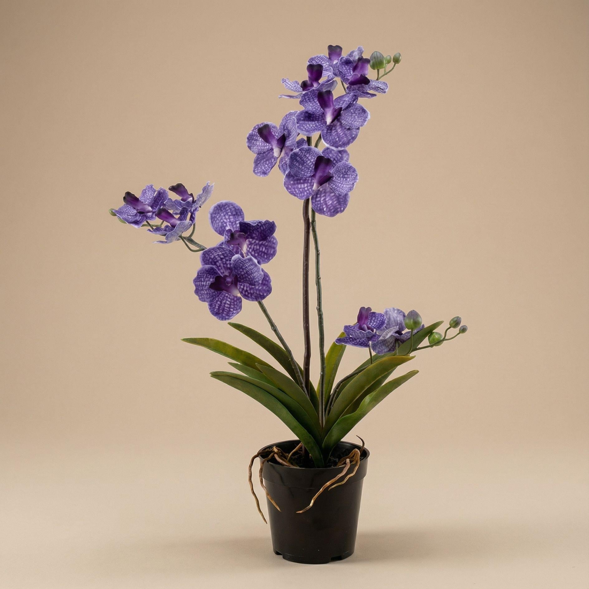 Orchidee Vanda Kunstpflanze – ca.60cm – Violett – Künstliche Orchidee im Topf – Pflegefreie Dekopflanze für Wohnzimmer Büro & Empfang-2