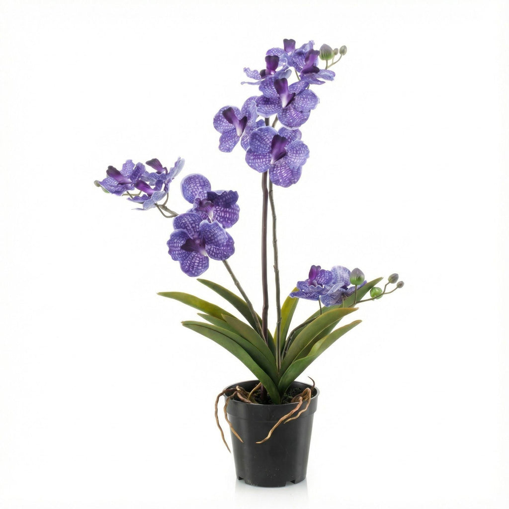 Orchidee Vanda Kunstpflanze – ca.60cm – Violett – Künstliche Orchidee im Topf – Pflegefreie Dekopflanze für Wohnzimmer Büro & Empfang-0