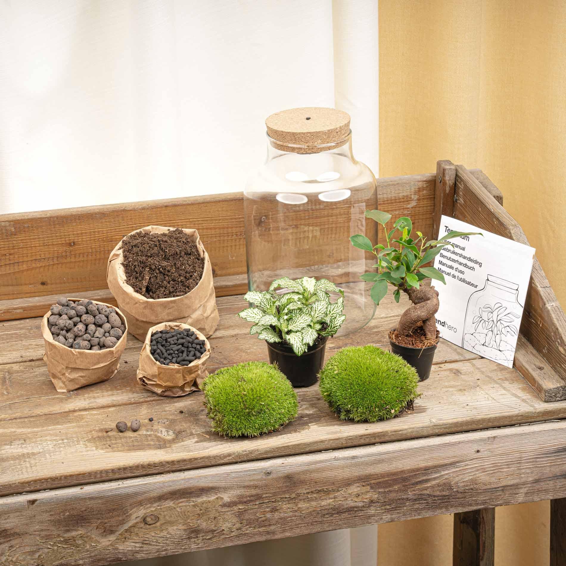 Flaschengarten DIY Bausatz – Terrarium Little Milky mit LED – Kork – Ø17cm x H25cm – Selbstversorgendes Mini – Ökosystem-1