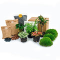 Flaschengarten – Set Dschungel 5 – DIY Pflanzenterrarium mit Coffea, Farn, Palme & Fittonia – Nachfüllpack & Starter – Kit-0